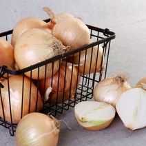전남 무안 햇 양파 10kg (특대), 단품