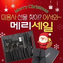 크리스마스 미용사선물세트 나라라프로컬러디렉터세트 [전문가용 염색 탈색 염색붓 빗 브러쉬 미용사선물 미용실선물 살롱선물 디자이너선물 인턴승급선물 입봉선물], 1개