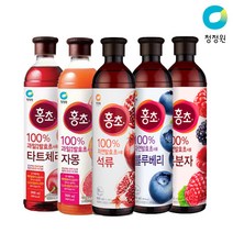 [여름맞이] 건강한 음료 청정원 홍초 900ml 2병 묶음구성 모음전/석류 타트체리 자몽 블루베리 복분자, 블루베리900ml+자몽900ml