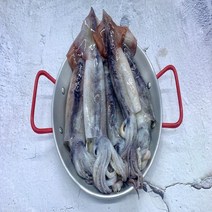 국내산 생물 물갈퀴오징어 5미(1kg 내외) 숙회추천 2인안주 안주적합 신선배송, 1개