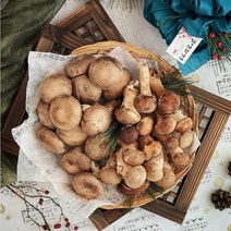 버섯지기 참송이 표고 버섯 반반 구성 1kg, 참송이(가정용)  + 표고(향신) 1kg