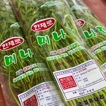 청도 한재로 미나리 1kg (당일수확/산지직송), 1개