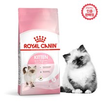 로얄캐닌 고양이사료 키튼 2kg / 어린 고양이