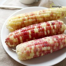 탱글탱글 홍찰 냉동 삶은 찰옥수수 28개 (16cm-18cm 내외), 홍찰옥수수 28개 (16cm~18cm 내외)