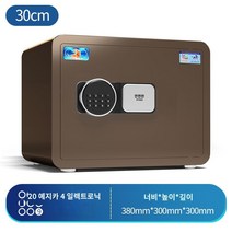가정용금고 비밀 인테리어 지문인식 개인 사무용 현금보관함 스마트 디지털 금고, I