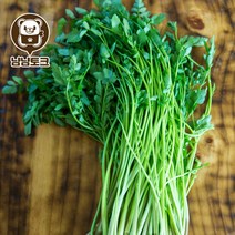 냠냠토크 [냠냠토크] 특품 한재 미나리 무농약인증 200g, 2개