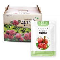 케이셀러 꾸지뽕즙 구지뽕 무농약 친환경 구찌뽕 진액 100ml 60포, 꾸지뽕즙 프리미엄형