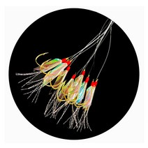 두리상사 열기바늘 볼락 묶음바늘 15-19호, 19호