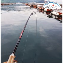 루어낚시대 호래기 볼락 풀치 뽈락 바다선상 에깅용품 (상세설명참조), 선택3-6 다이나믹하드케이스+받침대 사은품