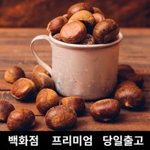 밤 500g 공주밤 햇밤 옥광밤 약밤 군밤, 쿠S 1, 쿠S 본상품선택