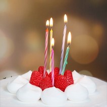 케이크초(생일실초 1년생) 100개x5묶음