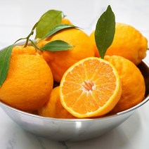 팜플러스 제주산 한라봉 3KG(9~12과) 로얄사이즈
