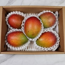 제주애플망고 망고 선물용 애플망고 2kg, 제주 애플망고 선물용 2kg 2-4과