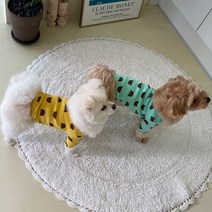 핸디스 Pet Pattern Book 사계절 강아지 옷 패턴북 (마스크제공), 단품, 단품