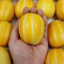 성주참외 한입참외 꼬마참외 참외 4kg, 성주 두입 꿀 참외 4kg