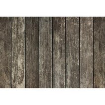 사진촬영배경지 생일 파티 배너 어린이 반려동물 동물 초상화 사진 촬영, Vinyl 60x40cm+NWH17866