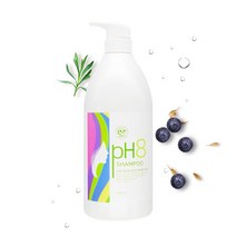 완벽한 펌 염색 전용샴푸 PH8 약알칼리 밸런싱 1000ml, 단품