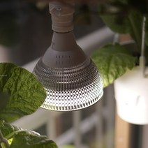 발광등 소켓형 식물등 식물조명 LED 생장 성장 재배 25W
