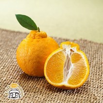 1월17일(화) 오전8시 주문시 명절전 배송 미귤농산 서귀포 한라봉 3kg (11~15과 실중량)