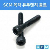 DZJ553300AD)SCM 육각 렌치 볼트 M12x40 (3개)