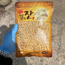 2022년 가평잣 국산잣 햇잣 생잣 300g, 백잣