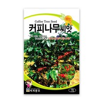 모칸도 세계 커피나무씨앗 10립