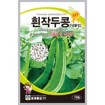 흰작두콩 넝쿨성 10립 씨앗 세계, 1개