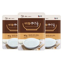 바디웰 영양죽 환자영양식 40g x 90포