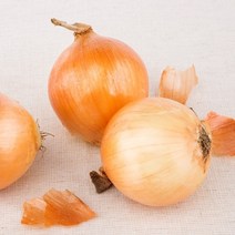 [착한식탁] 맛있는 햇 양파 10kg 중, 기본상품
