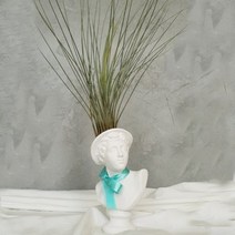 아트박스/모리아트 대만여인 석고상화분 틸란드시아 준세아+모스+리본, 쥴리앙