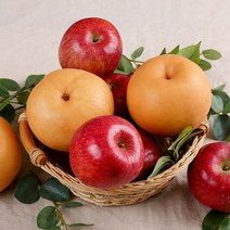 열매나무 열매나무 거창 후지사과 3kg+신고배 4kg, 단일옵션