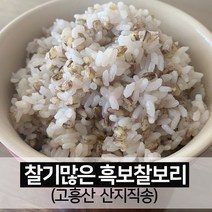 진도장모와서울큰사위 찰기 많은 검정쌀보리 흑보찰 신품종 [22년산 출시], 1개, 5kg