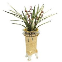 애국2 동양란 동양난 서양란 서양난 승진, 20000원