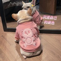 외출복 Dou Pug 오버 강아지 강아지 옷 슈우저 테디 코기 애완 동물 벨벳 핑크 베어 스웨터 베이직