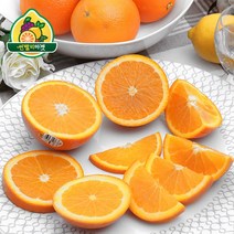 호주산 네이블 오렌지 중소과 113과 18kg, 단품