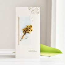 드라이플라워 메세지 상품권 현금 고급 돈봉투 이벤트 아빠 엄마 예쁜 엽서, 1개, 구매수량