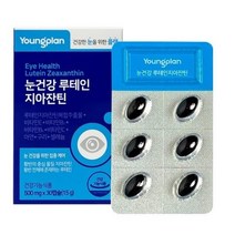 영진약품 눈건강 눈영양제 루테인 지아잔틴 15g, 1개, 30캡슐