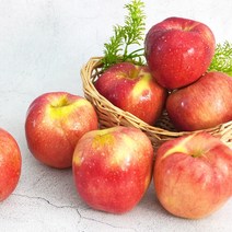 홍로사과 빨간사과 가정용 3kg (상품선택) 시나노골드 부사 아오리, 실속형 홍로사과 3kg (10-11과), 1개
