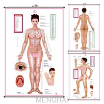 menghai가공 맞춤형 비단 천 여성 표준 침구 인체 경락 혈위도 중의학 회핀 알루미늄 축 괘화 맞춤형fdgdf06, default