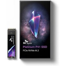 SK하이닉스 플래티늄 P41 PCIe NVMe M.2 SSD, 1TB