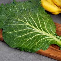 산세로 유기농 케일 5kg 녹즙용아이스박스, 단품