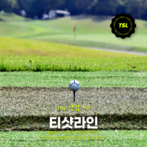 티샷라인 골프볼라이너 티샷라이너 삼선에이밍라인 골프공라이너 블랙 그린 랜덤배송