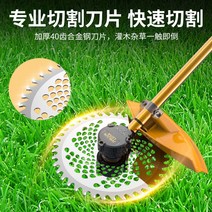 예초기 1600W 잔디 깎는 기계 제초기 농사 과수원, 브러시드1600W12A리튬배터리3시간사용
