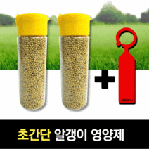 친환경 고급 모든 식물 화분 화초 뿌리 나무 알갱이 영양제 구슬 농축 다육이 비료 대용량 고체형, 식물영양제(대) 2개+식물이름표