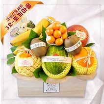 박스 선물 당일배송 부산 서울 과일 선물세트 병문안 예단 이바지 백화점 출산 과일바구니, 과일바구니 3호-토끼마을