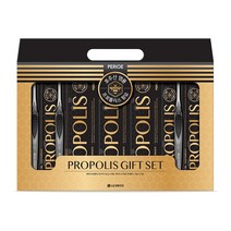 LG 선물세트 프로폴리스 치약 칫솔 기프트세트 1개, 단품