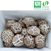 송이향 생 백화고 버섯 무농약 친환경 좋은 국내산 표고버섯 고급형 650g 1kg