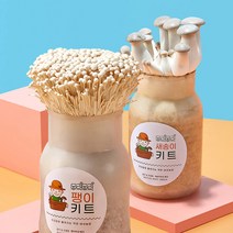 무럭무럭 새송이+팽이 버섯 키우기 키트, 1개