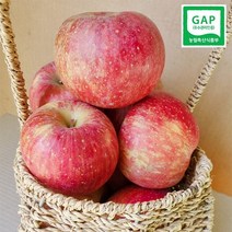 [송아농장] 밀양얼음골사과 GAP인증 산지직송 5KG/10KG, 10kg 36과