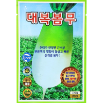[씨앗맛집] 대복 봄무 김장 무우 근채류 radish seed 야채 채소 씨앗 모종 종자 재배 키우기